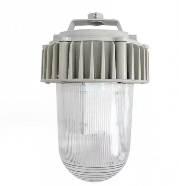 Фото Светильник Желудь TD-ASP-НСП-002Led-50  (ip65, 6000Лм, 50Вт) от магазина TopDiod.ru