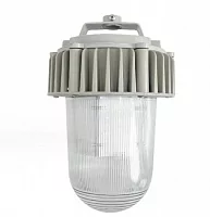 Светильник Желудь TD-ASP-НСП-002Led-50  (ip65, 6000Лм, 50Вт)